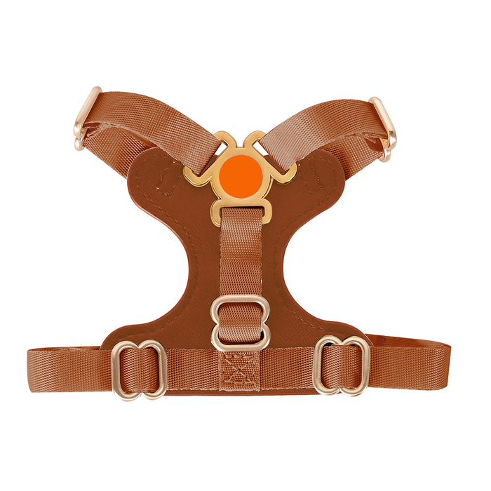 Cream & Black Leather Cat Harness with Gold Trim