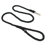 Sunset Gradient Braided Rope Lead - Black