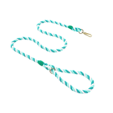 Sunset Gradient Braided Rope Lead - Fern Green