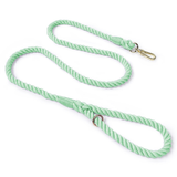 Sunset Gradient Braided Rope Lead - Mint