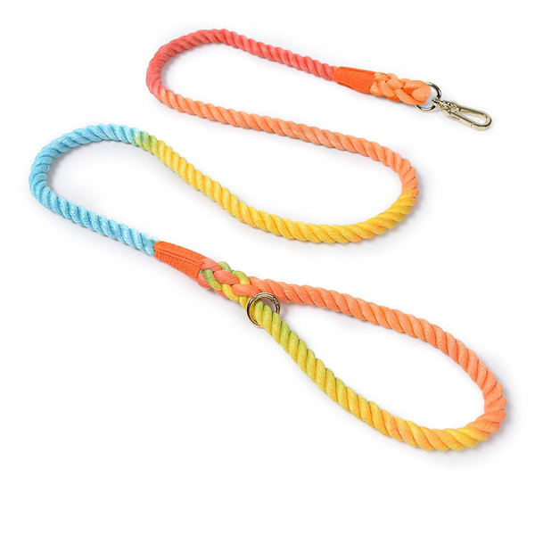Sunset Gradient Braided Rope Lead - Rainbow