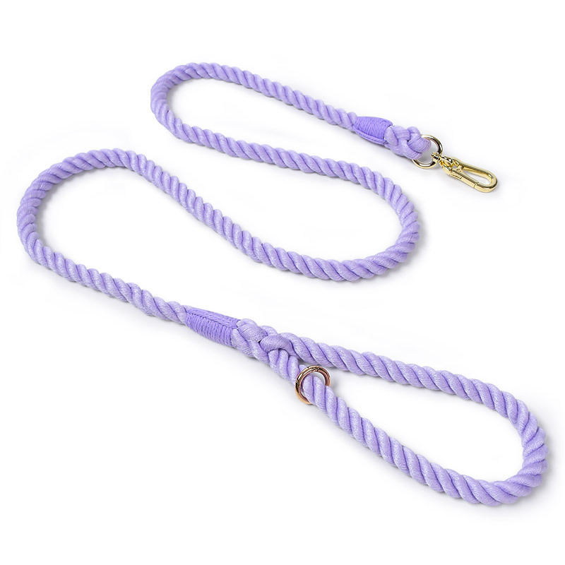 Sunset Gradient Braided Rope Lead - Violet