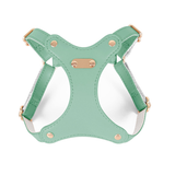 Blush Harness for Small Dogs - Green
