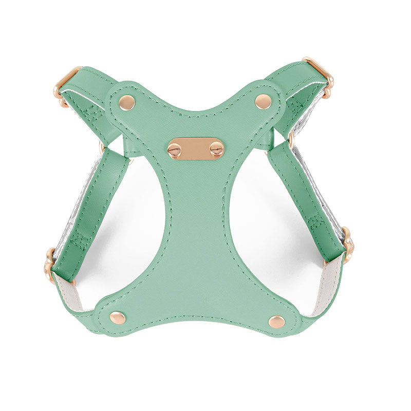 Blush Harness for Small Dogs - Green