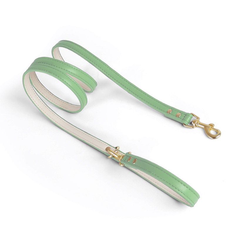 Pastel Waterproof Lead in Vegan Leather - Bamboo Green