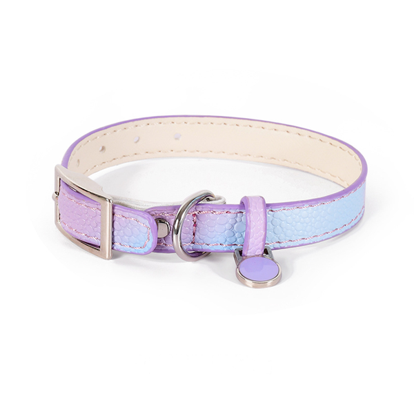 Pearlescent Collar with Engravable Name Tag - Vivid Purple