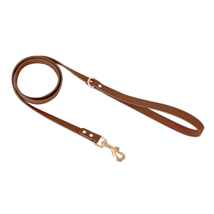 Powder Blue Leather Cat Lead