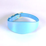 Iridescent Wide Collar & Lead Set, Vegan Leather - Blue