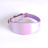 Iridescent Wide Collar & Lead Set, Vegan Leather - Bright Violet
