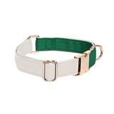 Two-Tone Vegan Leather Walk Set with Multi-Way Collar - Green
