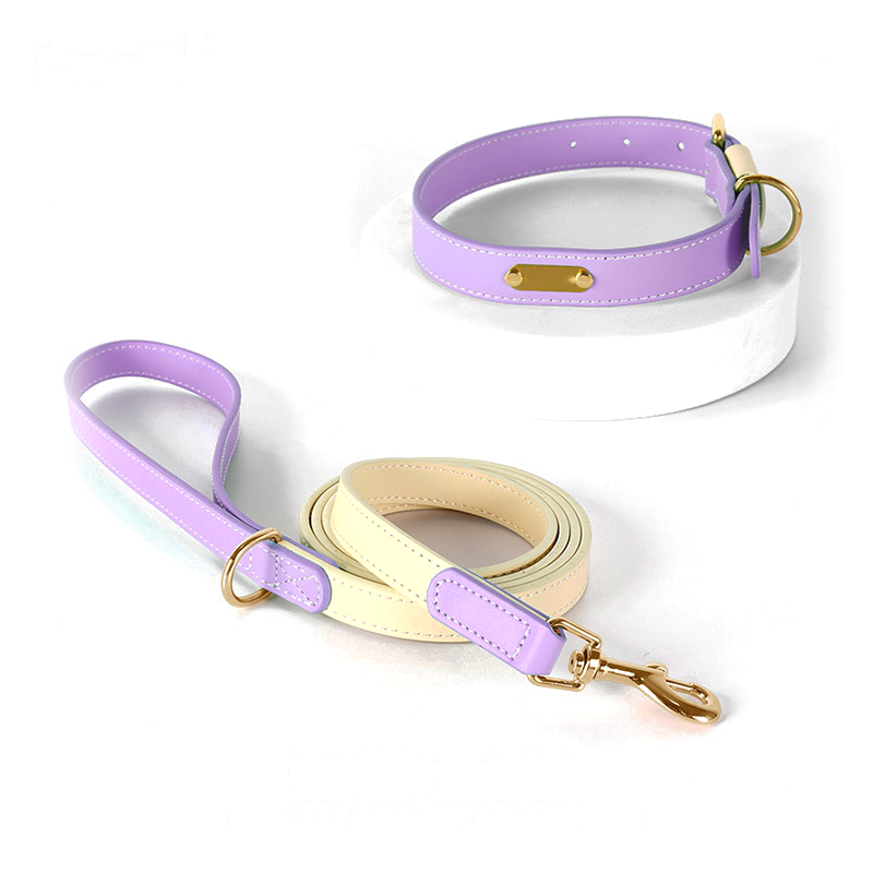 Lilac & Cream Petite Leather Collar - view 1