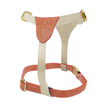 Deep Tones Harness for Small Dogs - Orange
