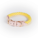 Berry Swirl Rope Collar, Pink Trim - Lemon