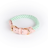 Berry Swirl Rope Collar, Pink Trim - Mint