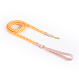 Berry Swirl Rope Lead, Pink Trim - Honey Orange
