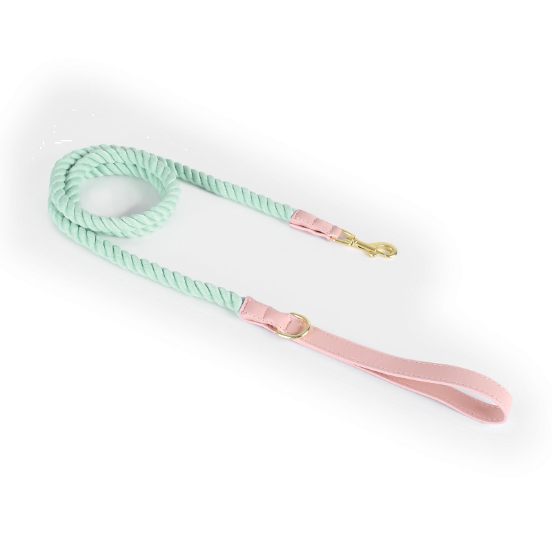 Berry Swirl Rope Lead, Pink Trim - Mint