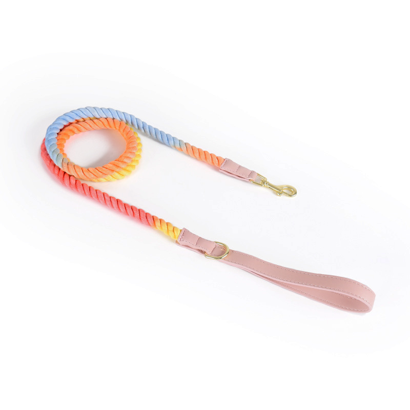 Berry Swirl Rope Lead, Pink Trim - Rainbow