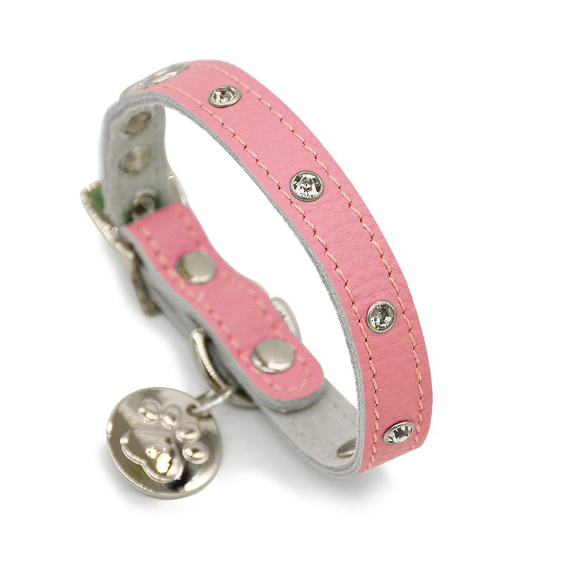Sparkle Stud Collar with Engravable Tag - Blush