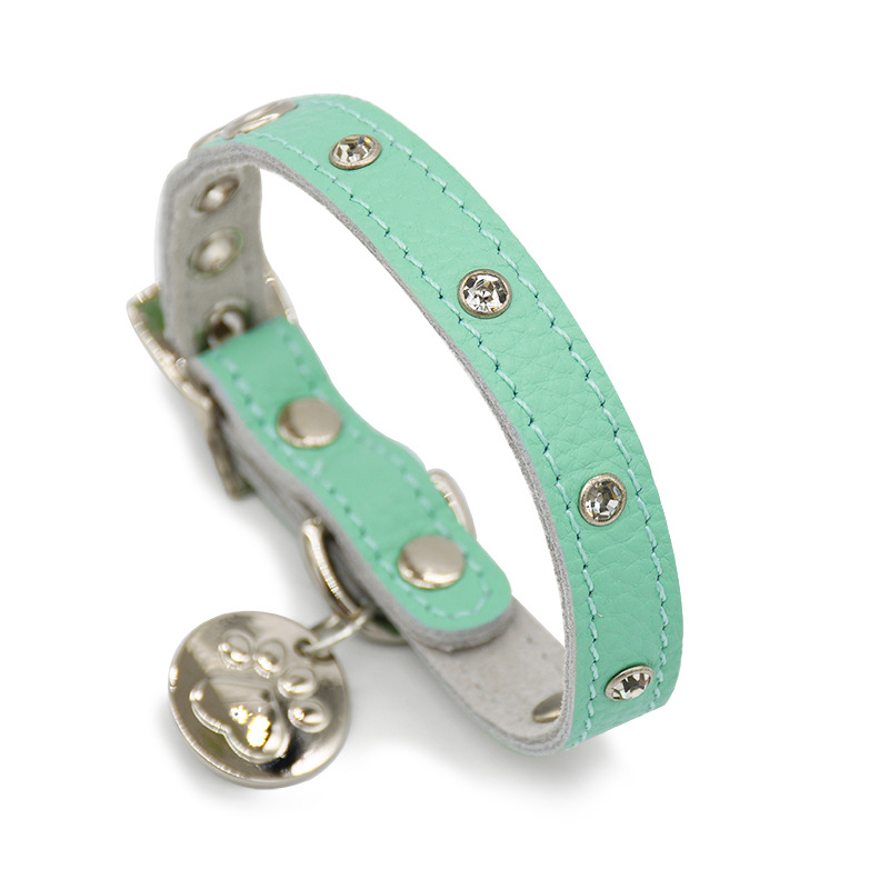Sparkle Stud Collar with Engravable Tag