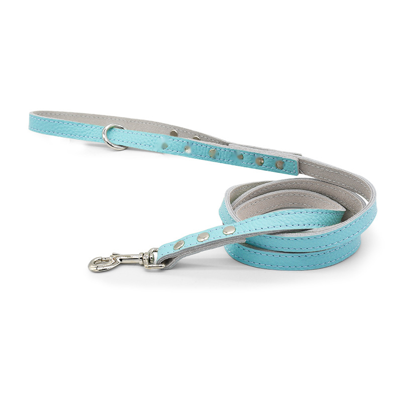 Sparkle Stud Lead with Engravable Tag - Blue