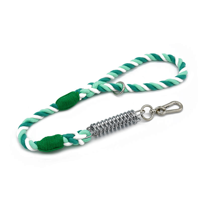Sunset Ombre Rope Lead with Bungee Spring - Fern Green