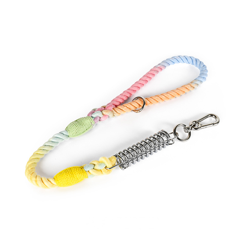 Sunset Ombre Rope Lead with Bungee Spring - Macaron