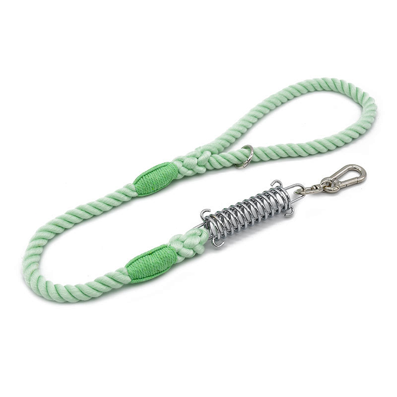 Sunset Ombre Rope Lead with Bungee Spring - Mint