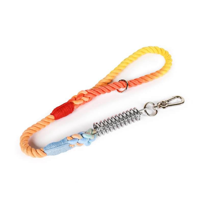 Sunset Ombre Rope Lead with Bungee Spring - Rainbow