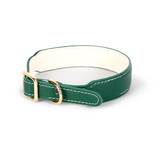 Cherry Red Tracker Collar, Compatible with AirTag - Green