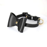 Collar in Cat Black for Small Dogs - Cat Black