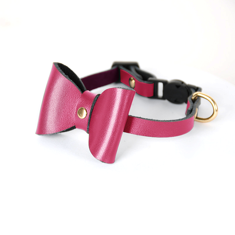 Collar in Cat Black for Small Dogs - Cat Blush