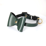 Collar in Cat Black for Small Dogs - Cat Green