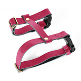 Harness in Black for Small Dogs - Blush