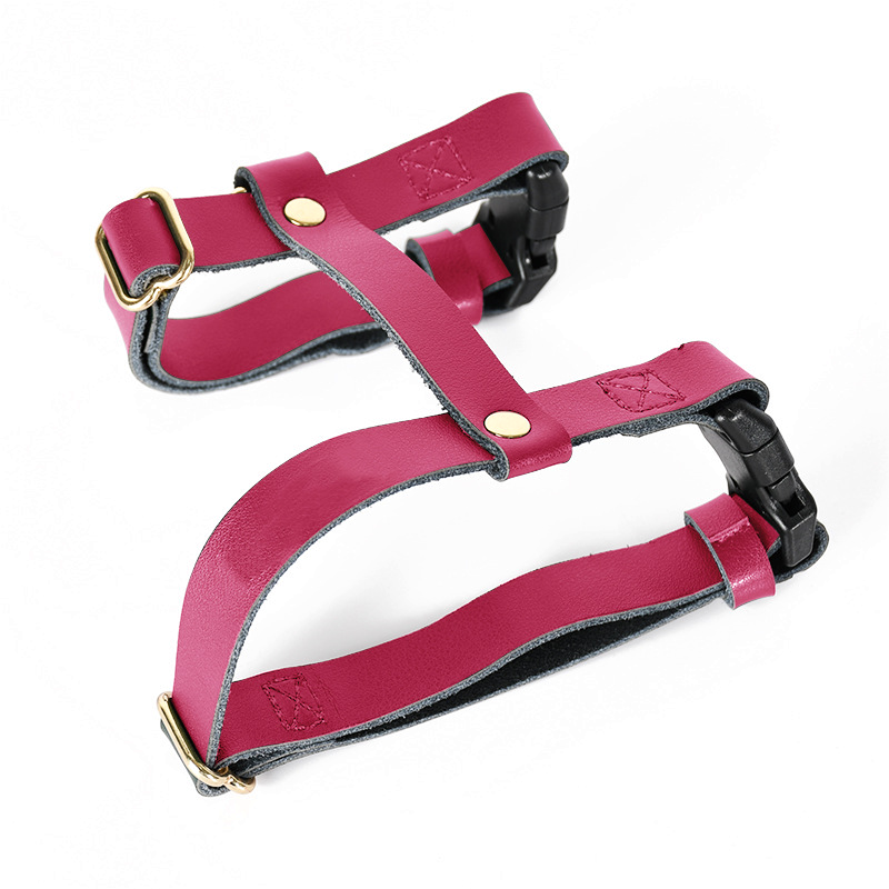 Harness in Black for Small Dogs - Blush
