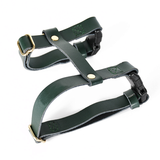 Harness in Black for Small Dogs - Green