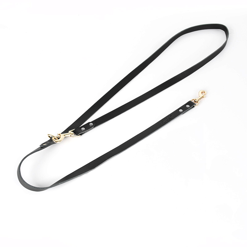 Lead in Black for Cats & Small Dogs