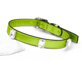 Crystal Stud Walk Set with Collar & Bag Holder - Green