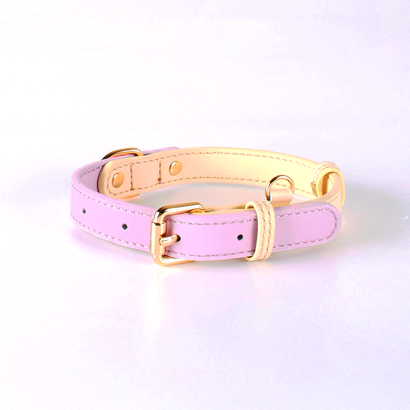 Seafoam Two-Tone Leather Collar