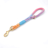 Pastel Twist Short Traffic Lead with Buckle Collar - Macaron