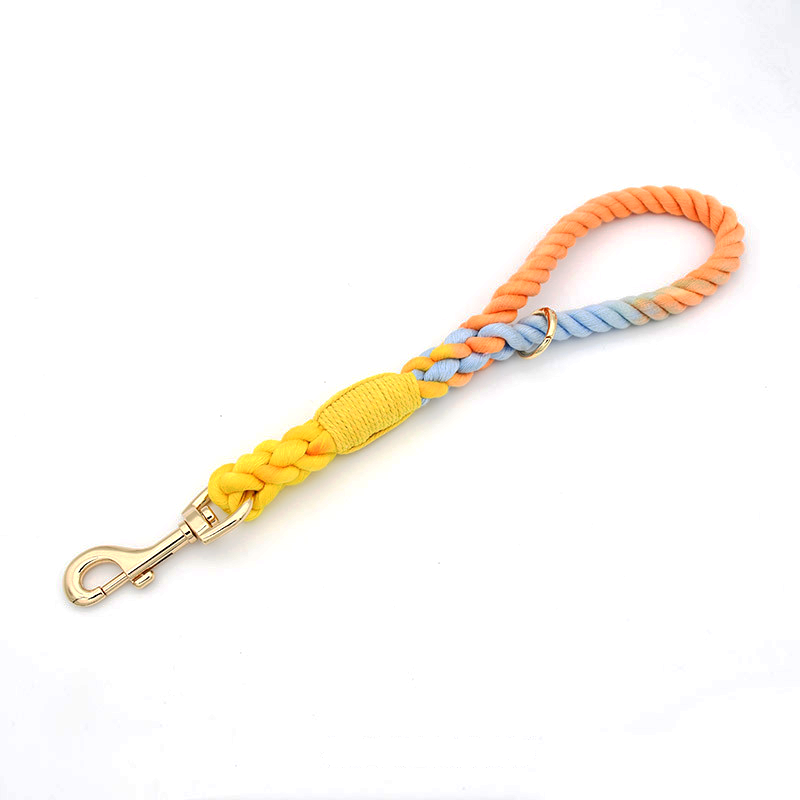 Pastel Twist Short Traffic Lead with Buckle Collar - Rainbow