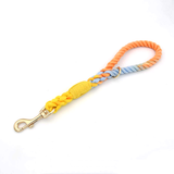 Pastel Twist Short Traffic Lead with Buckle Collar - Rainbow