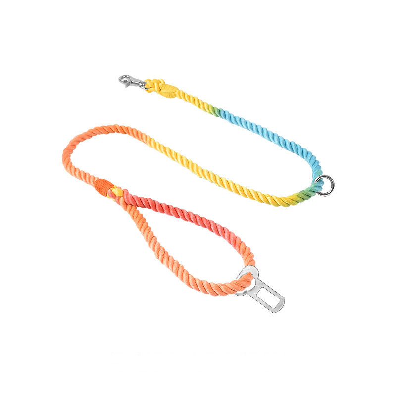 Road Trip All-in-One Rope Lead with Seatbelt Clip - Rainbow