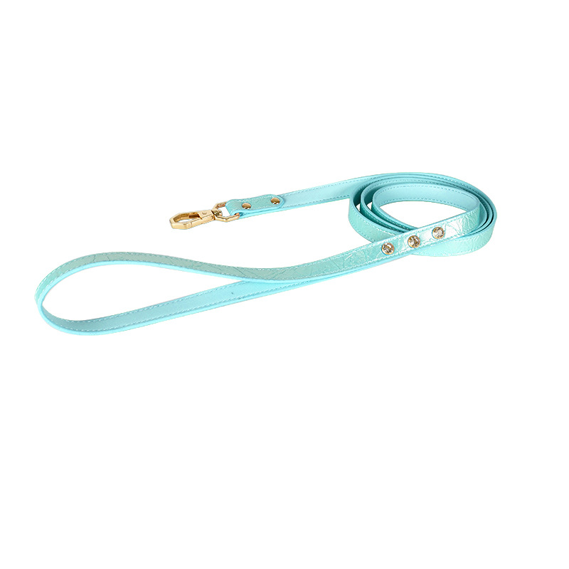 Ballet Pink Bow Lead - Blue