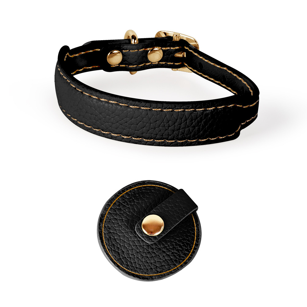 Brights Cat Collar & Lead Set for Small Dogs