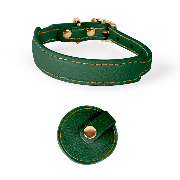 Brights Cat Collar & Lead Set for Small Dogs
