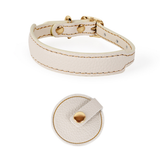 Brights Collar & Lead Set for Small Dogs - Ivory