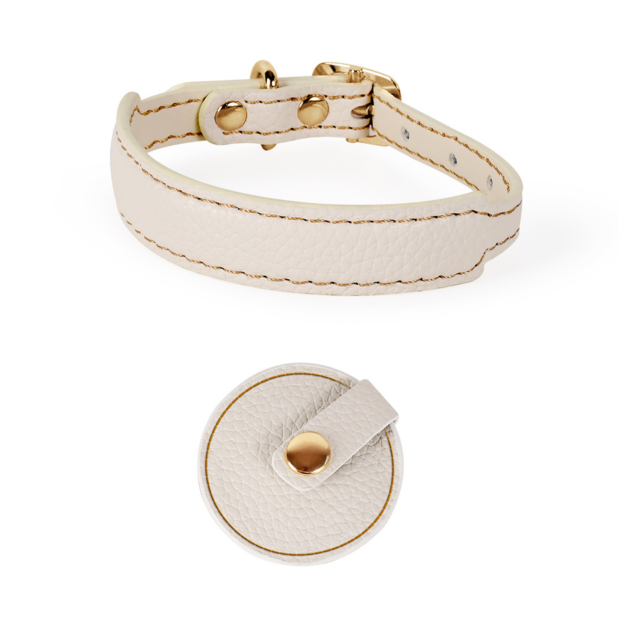 Brights Collar & Lead Set for Small Dogs - Ivory