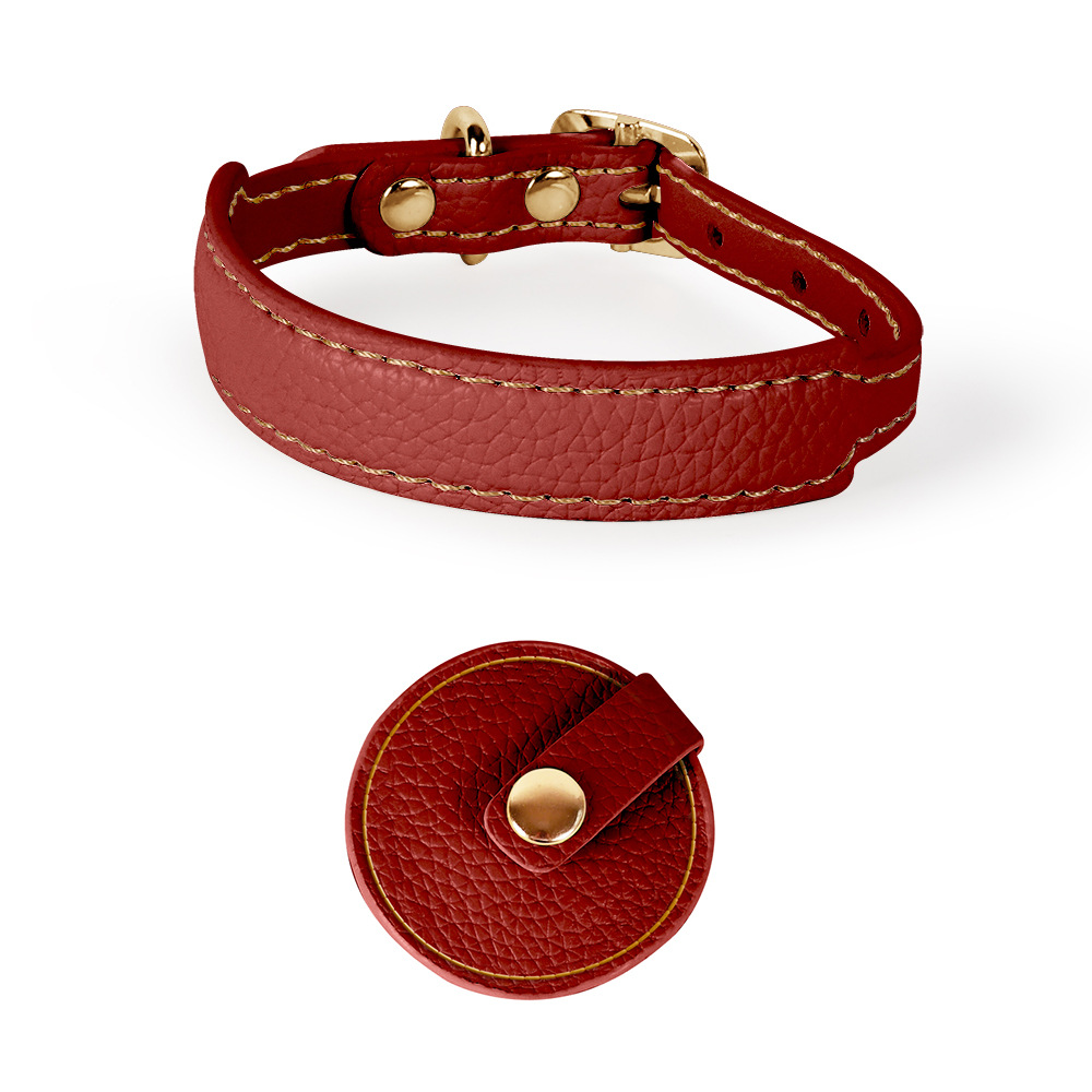 Brights Cat Collar & Lead Set for Small Dogs