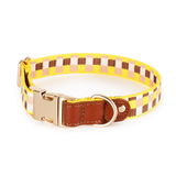 Nylon Collar in Blue for Medium to Large Dogs - Yellow