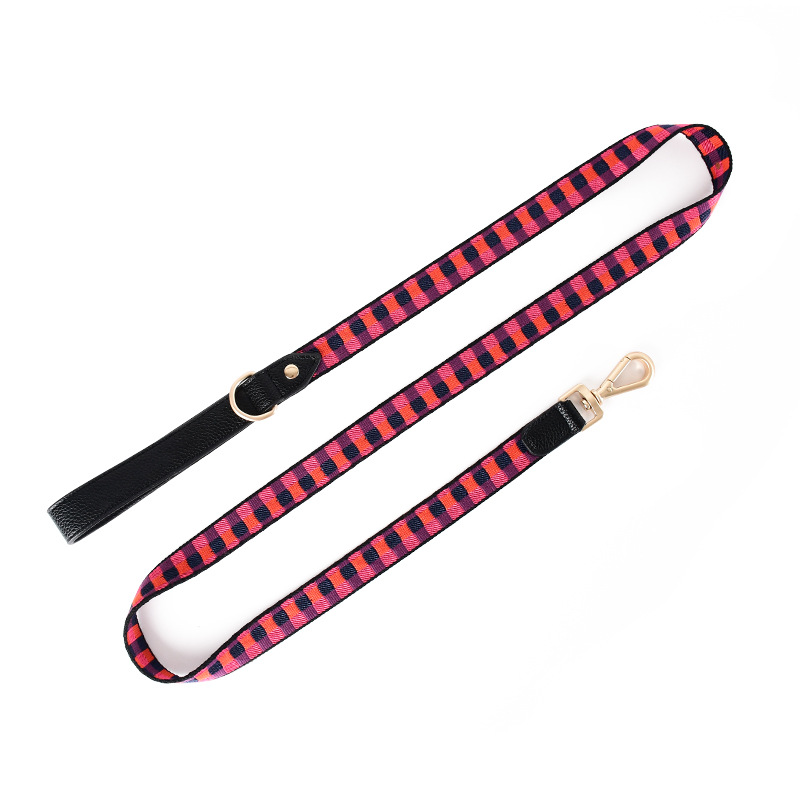 Nylon Lead in Blue for Medium to Large Dogs - Red
